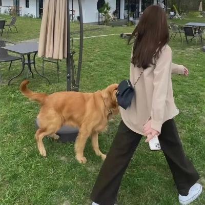 外交风云