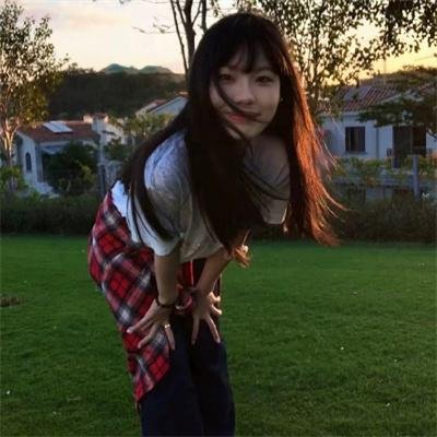 新鲁冰花
